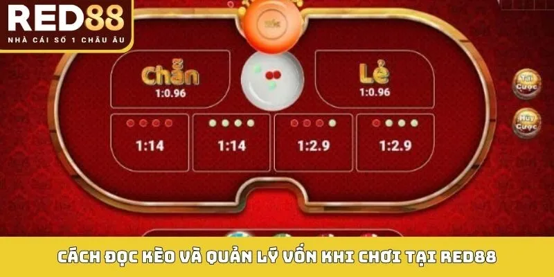 Xóc Đĩa RED88: Cách Chơi, Loại Kèo Và Mẹo Dễ Thắng 4 Cách đọc kèo và quản lý vốn khi chơi tại RED88