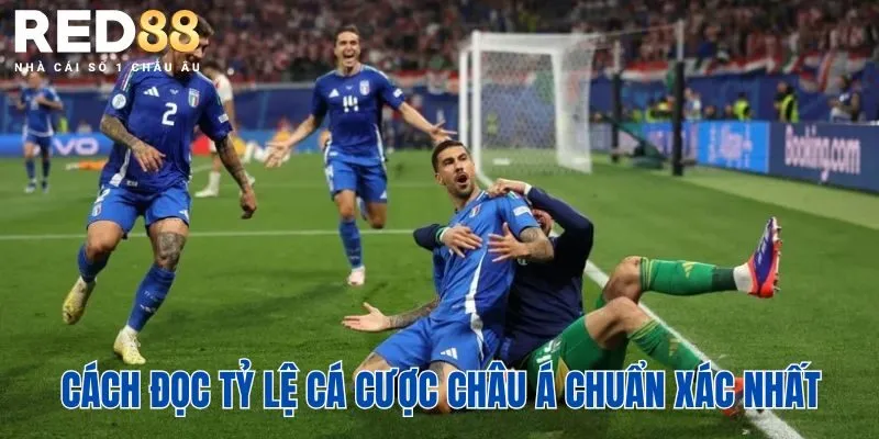 Tỷ Lệ Cá Cược Châu Á Là Gì? Cách Đọc Và Hiểu Chuẩn Xác 3 Cách đọc tỷ lệ cá cược châu Á chuẩn xác nhất
