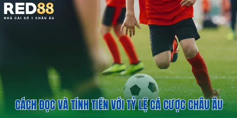 Tỷ Lệ Cá Cược Châu Âu: Hướng Dẫn Đọc Kèo Rõ Ràng, Dễ Hiểu 3 Cách đọc và tính tiền với tỷ lệ cá cược châu Âu