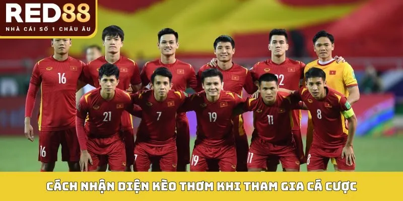 Kèo Thơm Red88 - Lựa Chọn Tham Gia Cá Cược Thắng Dễ Dàng 3 Cách nhận diện kèo thơm khi tham gia cá cược