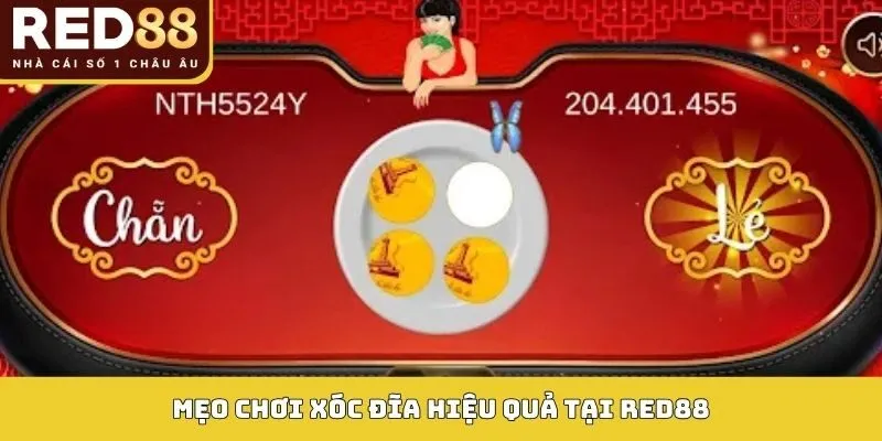Xóc Đĩa RED88: Cách Chơi, Loại Kèo Và Mẹo Dễ Thắng 5 Mẹo chơi xóc đĩa hiệu quả tại RED88