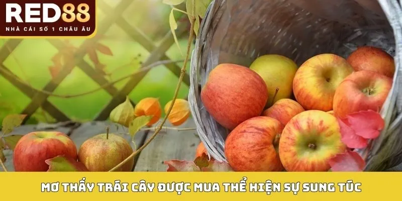 Giải Mã Giấc Mơ Thấy Trái Cây Và Con Số Thần Tài Trong Lô Đề 3 Mơ thấy trái cây được mua thể hiện sự sung túc