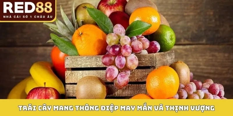 Giải Mã Giấc Mơ Thấy Trái Cây Và Con Số Thần Tài Trong Lô Đề 2 Trái cây mang thông điệp may mắn và thịnh vượng