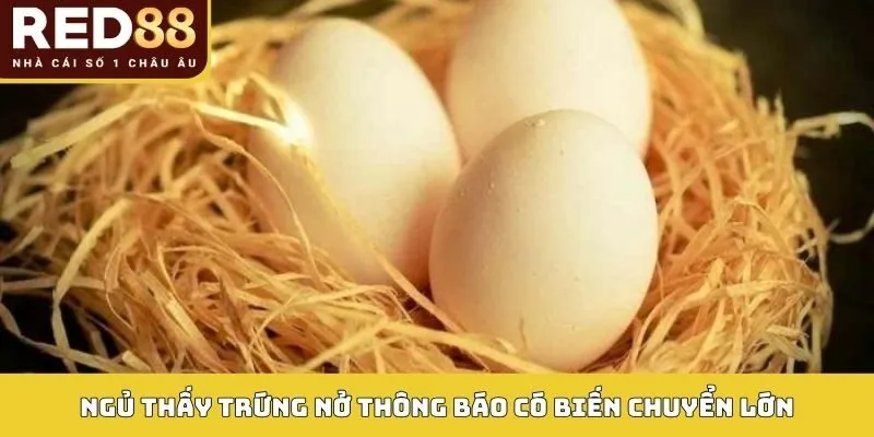 Mơ Thấy Trứng Gà - Giải Mã Giấc Mơ Và Số Thần Tài Trong Lô Đề 3 Ngủ thấy trứng nở thông báo có biến chuyển lớn
