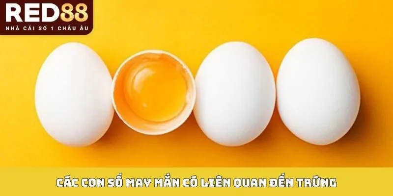 Mơ Thấy Trứng Gà - Giải Mã Giấc Mơ Và Số Thần Tài Trong Lô Đề 4 Các con số may mắn có liên quan đến trứng