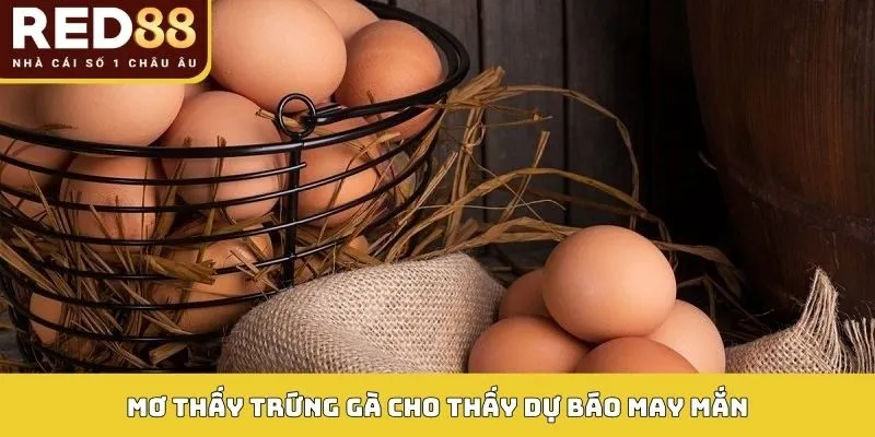 Mơ Thấy Trứng Gà - Giải Mã Giấc Mơ Và Số Thần Tài Trong Lô Đề 2 Mơ thấy trứng gà cho thấy dự báo may mắn