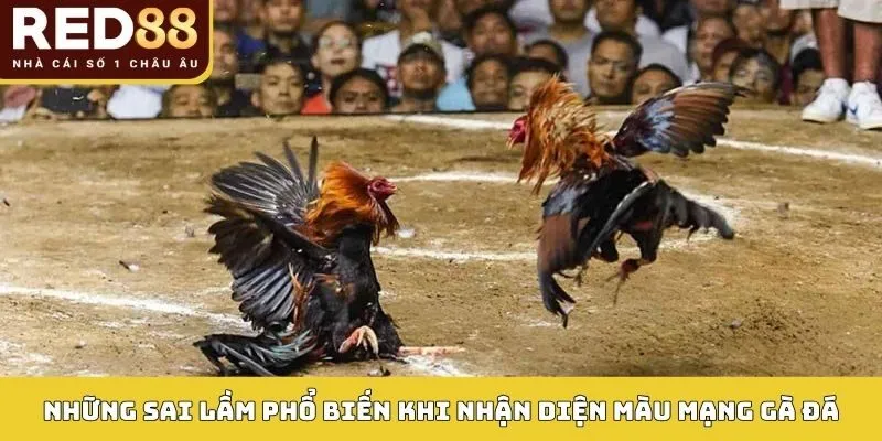 Màu Mạng Gà Đá Red88: Bí Quyết Bắt Kèo Chuẩn Theo Phong Thủy 5 Những sai lầm phổ biến khi nhận diện màu mạng gà đá
