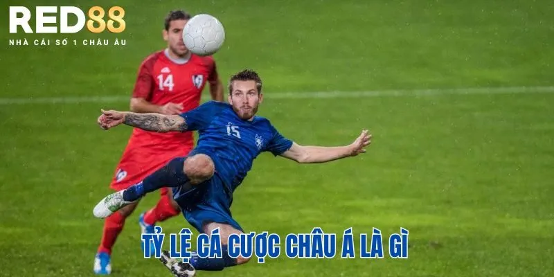 Tỷ Lệ Cá Cược Châu Á Là Gì? Cách Đọc Và Hiểu Chuẩn Xác 2 Tỷ lệ cá cược châu Á là gì