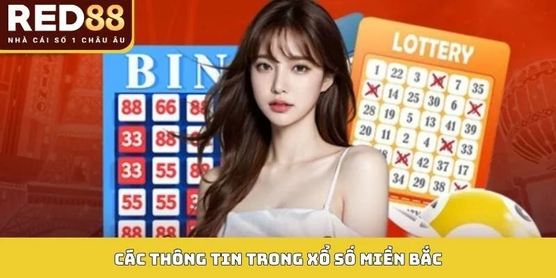 Xổ Số Miền Bắc Hôm Nay - Cá Cược Nhận Thưởng Cực Lớn 3 Các thông tin trong xổ số miền Bắc