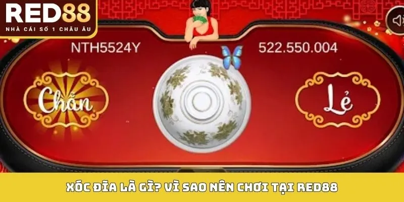 Xóc Đĩa RED88: Cách Chơi, Loại Kèo Và Mẹo Dễ Thắng 2 Xóc đĩa là gì? Vì sao nên chơi tại RED88